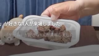 【ニコニコ生放送】ラム肉と牛タンと氷結グレープフルーツ頂きました♪