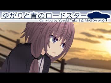 49｜のんびり沖縄観光｜ゆかりと白のヤリスクロス