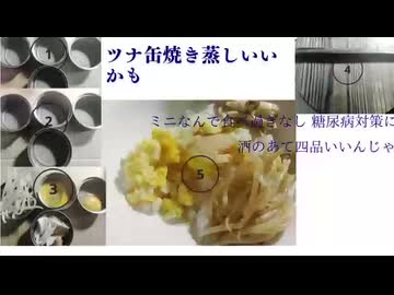 ツナ缶焼き蒸しいいかも　ミニなんで食べ過ぎなし 糖尿病対策に　酒のあて四品いいんじゃ　ミニ蒸し豚鳥肉　　ミニすき焼き　ミニ湯豆腐　ミニカレー　ミニシチュー