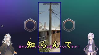 【GeoGuessr】一歩も動かずに国を当てようともがく二人 -後編-【ボイスロイド実況】