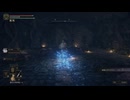 事故は起きる、、、命懸けの【ELDEN RING】#3 ノーデスチャレンジで王に成る！！