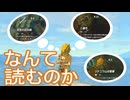 【ティアキン】依頼を受けて、武器の正式名称を調べてみた【ドリカラ】【ボイスピ実況,ゼルダの伝説,ティアーズオブザキングダム,TotK,バグ,検証 】
