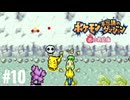 ポケモン不思議ダンジョン　赤の救助隊実況プレイしてみた⭐️＃10【てぃきみ】〜全ポケモン捕まえる旅(007/413)〜