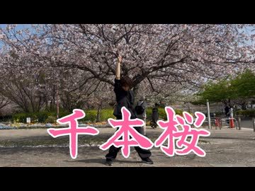 【むらくも。】千本桜 踊って打ってみた【８年ぶりリベンジ】