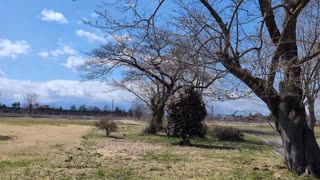 山城しんごの城めぐり　国指定史跡　鳥海柵(岩手県金ヶ崎町)