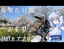 【スーパーカブ】母智丘公園へお花見ツーリング【宮崎県都城市】