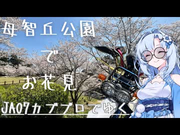 【スーパーカブ】母智丘公園へお花見ツーリング【宮崎県都城市】