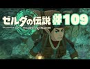 【ぽつぽつ実況 #109】根【ティアーズオブザキングダム】