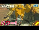 【ゼルダの伝説BotW】初めてのブレワイ！折れない心で未知の世界へ！#51【実況】