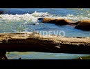 Tree log fallen over flowing white water river rapids in sunlight