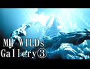 モンハンワイルズ ギャラリー集3