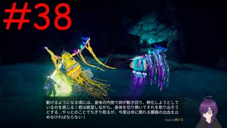 【実況】常に死と隣り合わせの過酷な世界を生き抜く【Outward Definitive Edition】part38