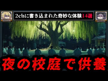 【深夜の校庭で大人たちが…】2chに書き込まれた不可解な体験、謎な話14選 エニグマ【ゆっくり解説】
