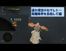 【MHWilds】はぐれ環境調査員の調査記録「遥か滑空のセクレト～距離限界を目指して編」