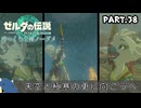 『11種の縛りプレイ＃38』ノーダメージでチューリと共にアマノトリフネの謎に迫る全裸リンク【ゼルダの伝説ティアーズオブザキングダム/ゆっくり実況】