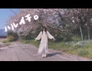 【風】ハルイチ。 踊ってみた 【ゆぅみ】