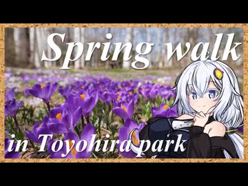 春散歩 in 豊平公園