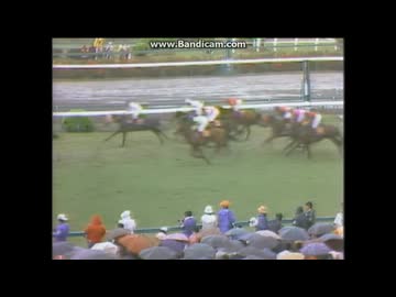 1991 皐月賞 トウカイテイオー - ニコニコ動画