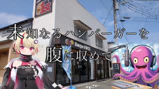 未知なるハンバーガーを腹に納めて【part８】