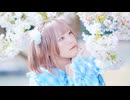 【市川】雷櫻 / MAISONdes 踊ってみた【春】