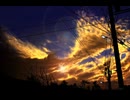 夕方、君と/星界
