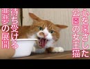 心を閉ざした女王猫、悪夢の展開を迎える