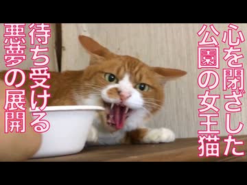 心を閉ざした女王猫、悪夢の展開を迎える