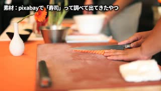 【嘘の旅行】フリー素材だけでVlogは作れるのか？ in北海道