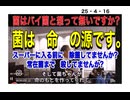 25・4・16　日本人消毒し過ぎてます。人は　菌で生きている。