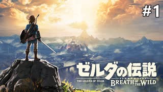 長き冒険が始まる【ゼルダの伝説 ブレス オブ ザ ワイルドのんびり実況】#1