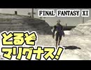 【FF11】今日こそマリグナス装備を取るぞぉぉぉ！取れるのか……！？＿＿カッパのヴァナ・ディール生活