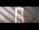 【歌ってみた】SToRY　Leo/need【okosamaLUNCH】