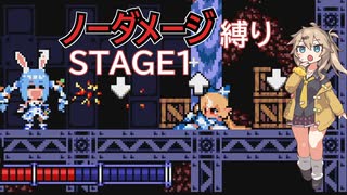 【FLARE NUINUI QUEST】つむぎちゃんとノーダメ縛り#1【VOICEVOX実況】