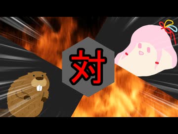 ｾﾔﾅｰ対ビーバー