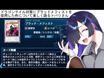純K9の考え｜かをぽっぽのあ