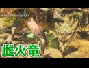 【モンスターハンターワイルズ】#23 ワイルズで雌火竜を狩猟したい!!