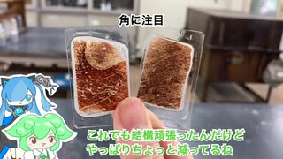【ずんだもん解説】岩石薄片の作り方