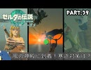 『11種の縛りプレイ＃39』ノーダメージで風の神殿に到着する全裸リンク【ゼルダの伝説ティアーズオブザキングダム/ゆっくり実況】