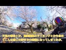 【ゆっくりモトブログ】松戸市内に最高の花見スポットあるってよ【Vstrom800】