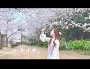 【フォレシィ】ハルイチ。 踊ってみた【みずきちゃん】