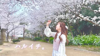 【フォレシィ】ハルイチ。 踊ってみた【みずきちゃん】
