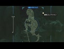 【ティアキン】絶滅したと思われた壁リザルを発見したので遊んでみた【ドリカラ】【ボイスピ実況,ゼルダの伝説,ティアーズオブザキングダム,TotK,バグ,検証 】