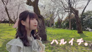 【るな】ハルイチ。【踊ってみた】