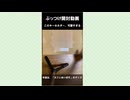 【  ぶっつけ開封 】かわいすぎるキーホルダーが届いたぞ！