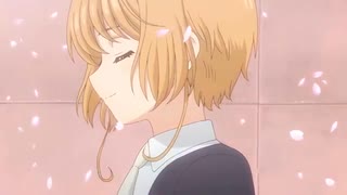 ＭＡＤ『カードキャプターさくら』クリアカード編 「CLEAR坂本真綾」ハイレゾ高音質