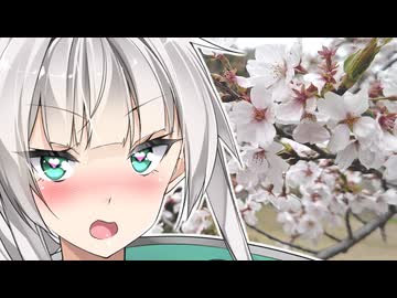 良妻クロワちゃんと桜見物【COEIROINK劇場】