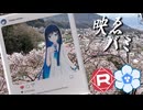 映ゑバミ桜