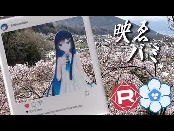 映ゑバミ桜