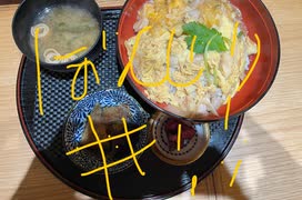日々鳥々　ぼんじり、もも親子丼