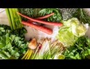 田中鉄也のEating Log｜オーガニックハーブ